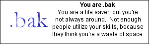 You are .bak.  You are a life saver, but you're not always around.  Not enough people utilize your skills, because they think you're a waste of space.