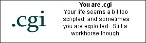 You are .cgi Your life seems a bit too scripted, and sometimes you are exploited. Still a workhorse though.