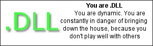 You are .dll You are dynamic. You are constantly in danger of bringing down the house, because you don't play well with others.