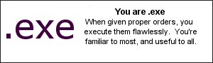 You are .exe When given proper orders, you execute them flawlessly.You're familiar to most, and useful to all.