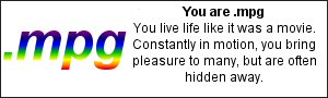 You are .mpg You live life like it was a movie.  Constantly in motion, you bring pleasure to many, but are often hidden away.