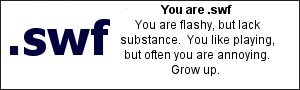 You are .swf  You are flashy, but lack substance.  You like playing, but often you are annoying. Grow up.