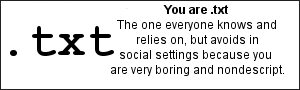 You are .txt The one everybody knows and relies on, but avoids in social settings because you're very boring and nondescript.