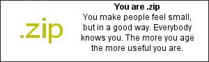 You are .zip You make people feel small, but in a good way. Everybody knows you. The more you age, the more useful you are.