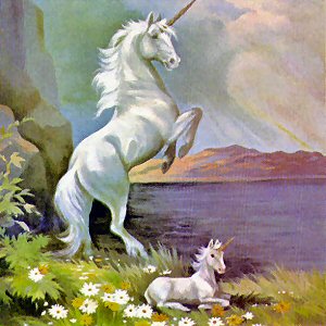 Unicorns!