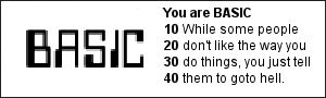 You are BASIC.  10 While some people 20 don't like the way you 30 do things, you just tell 40 them to goto hell.