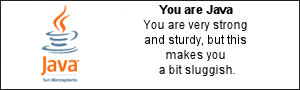 You are Java.  You are very strong and sturdy, but this makes you a bit sluggish.