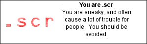 You are .scr  You are sneaky. and often cause a lot of trouble for people.  You should be avoided.