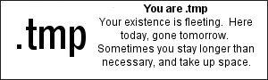 You are .tmp  Your existence is fleeting.  Here today, gone tomorrow.  Sometimes you stay longer than necessary, and take up space.