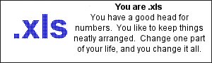 You are .xls You have a good head for numbers. You like to keep things neatly arranged.  Change one part of your life, and you change it all.