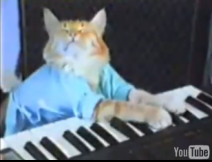 Keyboard Cat