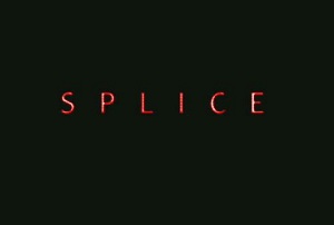 Splice